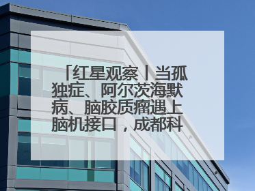 红星观察丨当孤独症、阿尔茨海默病、脑胶质瘤遇上脑机接口，成都科研改变医学图景