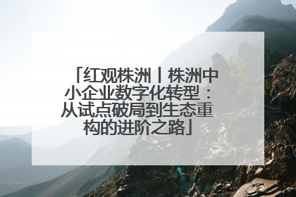 红观株洲丨株洲中小企业数字化转型：从试点破局到生态重构的进阶之路