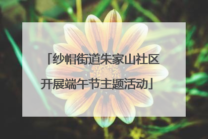 纱帽街道朱家山社区开展端午节主题活动