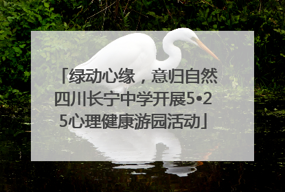 绿动心缘，意归自然 四川长宁中学开展5•25心理健康游园活动