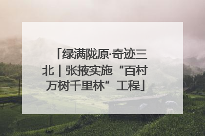 绿满陇原·奇迹三北｜张掖实施“百村万树千里林”工程