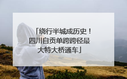 绕行半城成历史！四川自贡单跨跨径最大特大桥通车