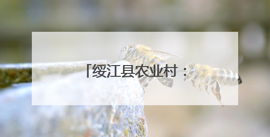 绥江县农业村：女子调解队真情搭起“连心桥”