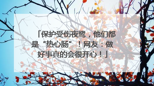 保护受伤夜鹭，他们都是“热心肠”！网友：做好事真的会很开心！