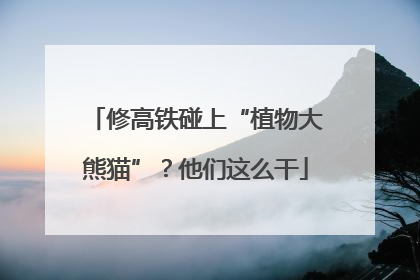 修高铁碰上“植物大熊猫”？他们这么干