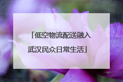 低空物流配送融入武汉民众日常生活