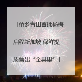 侨乡青田首批杨梅启程新加坡 保鲜提质售出“金果果”