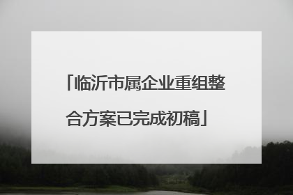 临沂市属企业重组整合方案已完成初稿