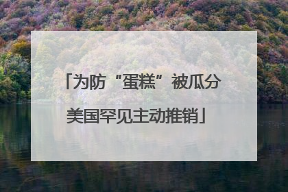 为防“蛋糕”被瓜分 美国罕见主动推销