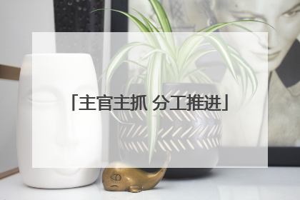 主官主抓 分工推进