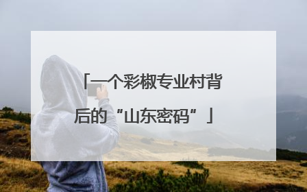 一个彩椒专业村背后的“山东密码”