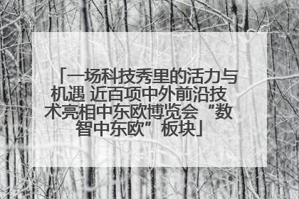 一场科技秀里的活力与机遇 近百项中外前沿技术亮相中东欧博览会“数智中东欧”板块