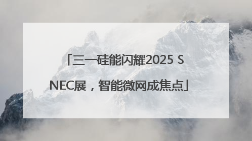 三一硅能闪耀2025 SNEC展，智能微网成焦点