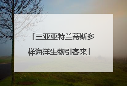 三亚亚特兰蒂斯多样海洋生物引客来