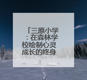 三原小学：在森林学校绘制心灵成长的终身能量