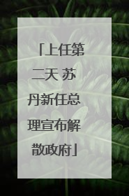 上任第二天 苏丹新任总理宣布解散政府