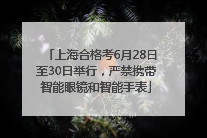 上海合格考6月28日至30日举行，严禁携带智能眼镜和智能手表