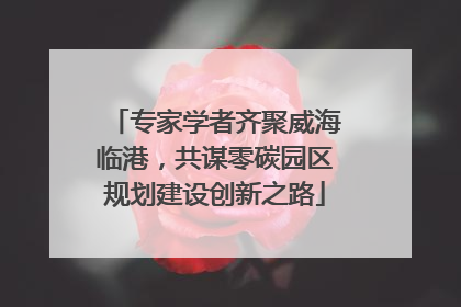 专家学者齐聚威海临港,共谋零碳园区规划建设创新之路