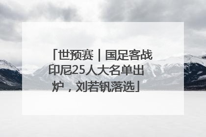 世预赛｜国足客战印尼25人大名单出炉，刘若钒落选