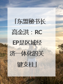 东盟秘书长高金洪：RCEP是区域经济一体化的关键支柱