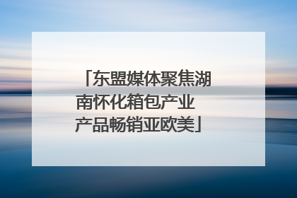 东盟媒体聚焦湖南怀化箱包产业 产品畅销亚欧美