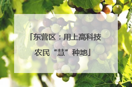 东营区：用上高科技 农民“慧”种地