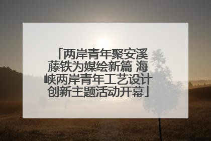 两岸青年聚安溪 藤铁为媒绘新篇 海峡两岸青年工艺设计创新主题活动开幕