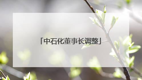 中石化董事长调整