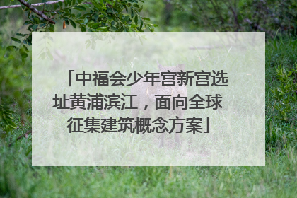 中福会少年宫新宫选址黄浦滨江，面向全球征集建筑概念方案