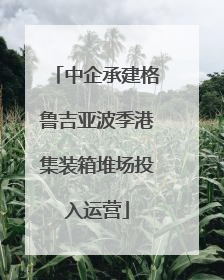 中企承建格鲁吉亚波季港集装箱堆场投入运营