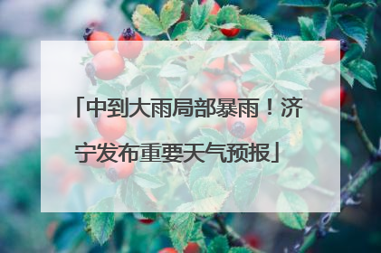 中到大雨局部暴雨！济宁发布重要天气预报