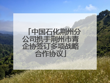 中国石化荆州分公司携手荆州市青企协签订多项战略合作协议