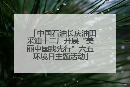 中国石油长庆油田采油十二厂开展“美丽中国我先行”六五环境日主题活动