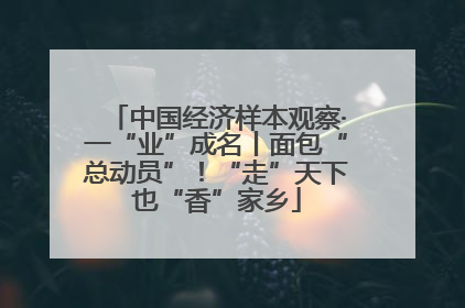 中国经济样本观察·一“业”成名丨面包“总动员”！“走”天下也“香”家乡