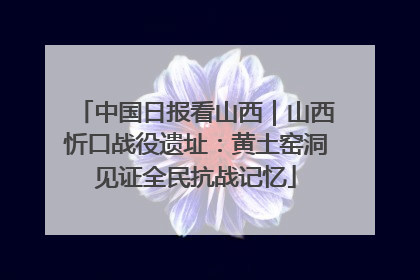 中国日报看山西｜山西忻口战役遗址：黄土窑洞见证全民抗战记忆
