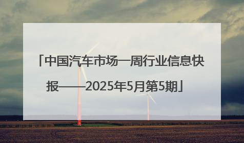 中国汽车市场一周行业信息快报——2025年5月第5期