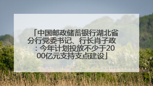 中国邮政储蓄银行湖北省分行党委书记、行长肖子政：今年计划投放不少于2000亿元支持支点建设