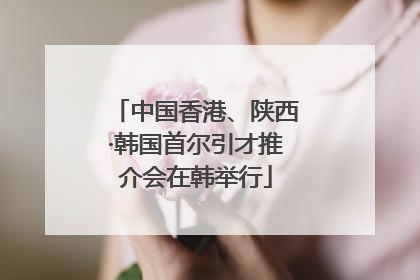 中国香港、陕西·韩国首尔引才推介会在韩举行