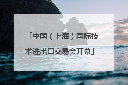 中国（上海）国际技术进出口交易会开幕