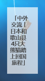 中外交流丨日本和歌山县4只大熊猫踏上回国旅程