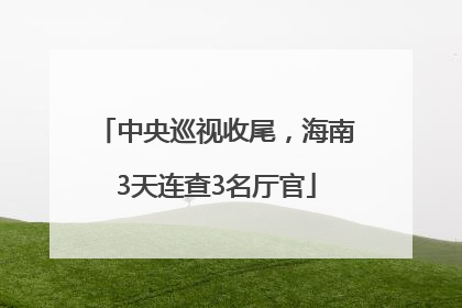 中央巡视收尾，海南3天连查3名厅官