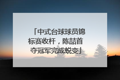 中式台球球员锦标赛收杆，陈喆首夺冠军完成蜕变
