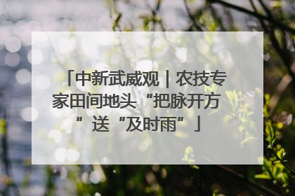 中新武威观｜农技专家田间地头“把脉开方”送“及时雨”
