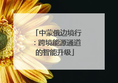 中蒙俄边境行：跨境能源通道的智能升级