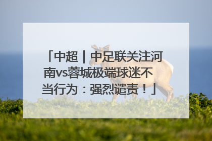 中超｜中足联关注河南vs蓉城极端球迷不当行为：强烈谴责！