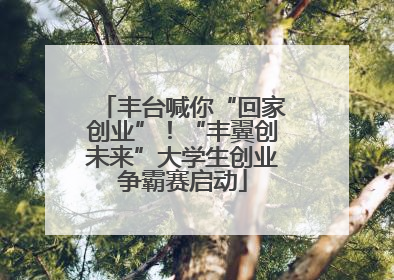 丰台喊你“回家创业”！“丰翼创未来”大学生创业争霸赛启动