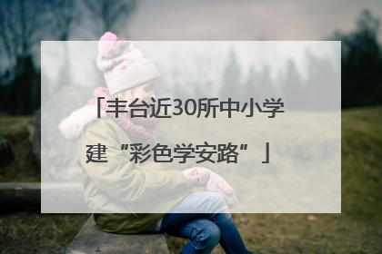丰台近30所中小学建“彩色学安路”