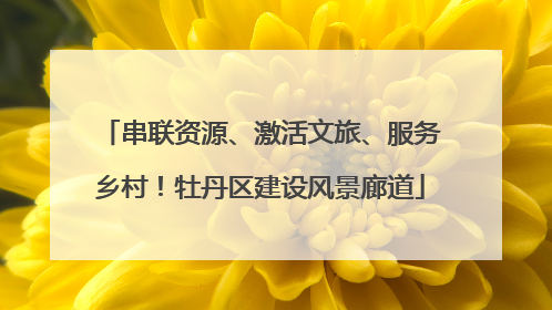 串联资源、激活文旅、服务乡村！牡丹区建设风景廊道