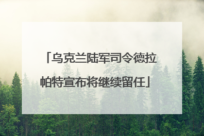 乌克兰陆军司令德拉帕特宣布将继续留任