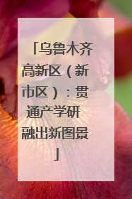 乌鲁木齐高新区（新市区）：贯通产学研 融出新图景